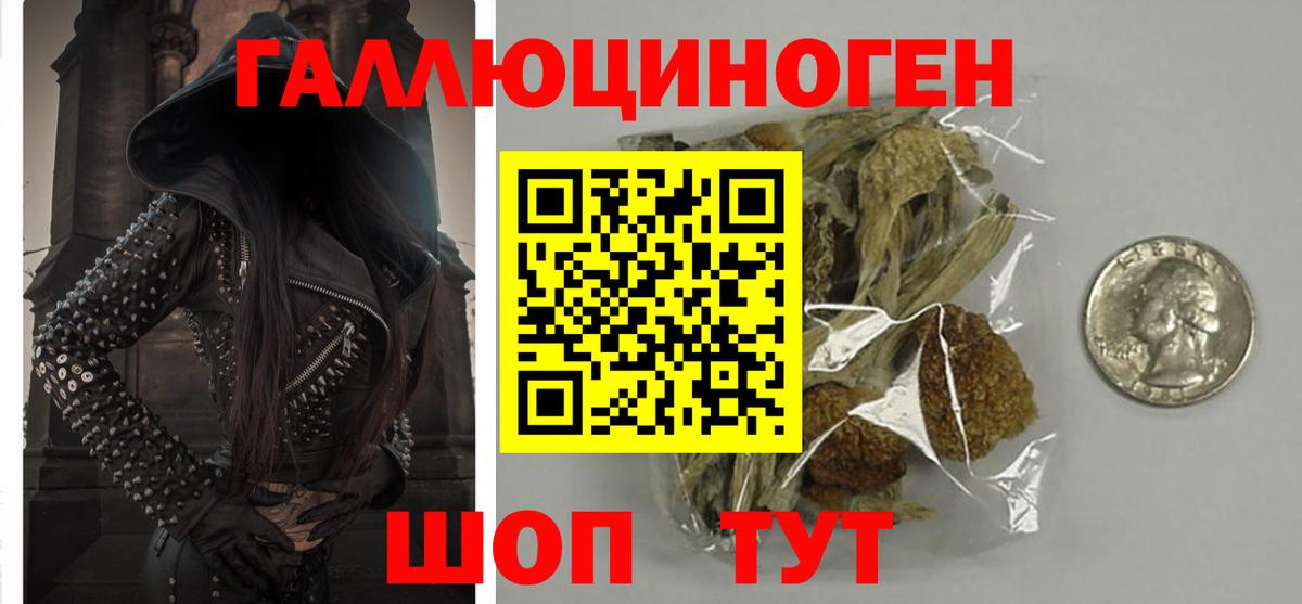 Галлюциногенные грибы GOLDEN TEACHER  Вход с VPN  Морозовск 
